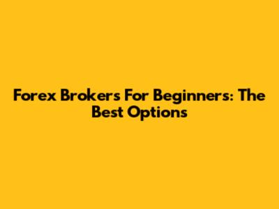 Forex Brokers For Beginners: The Best Options