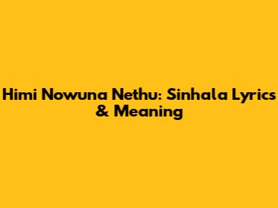 Himi Nowuna Nethu: Sinhala Lyrics & Meaning