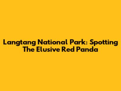 Langtang National Park: Spotting The Elusive Red Panda